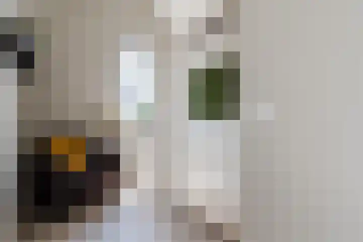 Iepenlaan 25 Sleeuwijk thumbnail 22