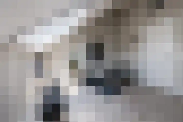 Iepenlaan 25 Sleeuwijk thumbnail 25