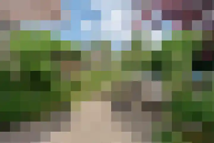 Iepenlaan 25 Sleeuwijk thumbnail 28