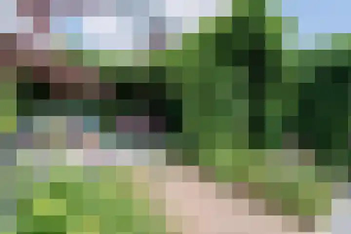 Iepenlaan 25 Sleeuwijk thumbnail 29