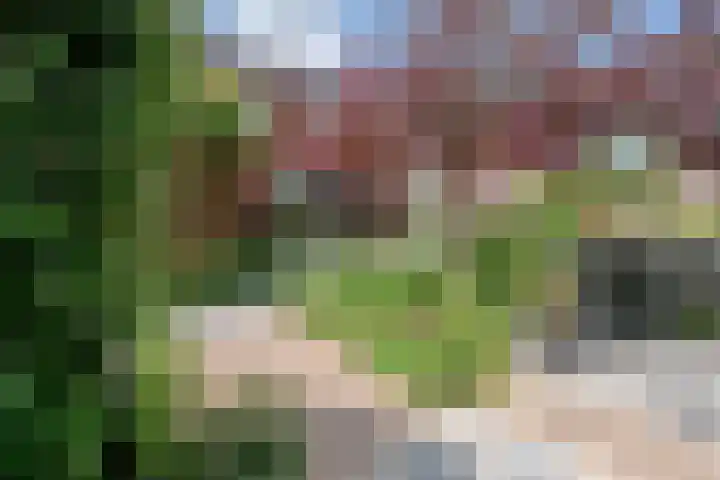 Iepenlaan 25 Sleeuwijk thumbnail 30