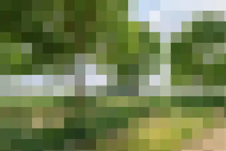 Iepenlaan 25 Sleeuwijk thumbnail 33