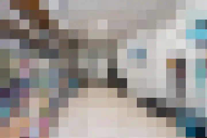Iepenlaan 25 Sleeuwijk thumbnail 9
