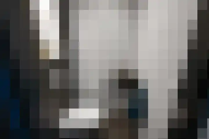 Iepenlaan 26 a De Kwakel thumbnail 13