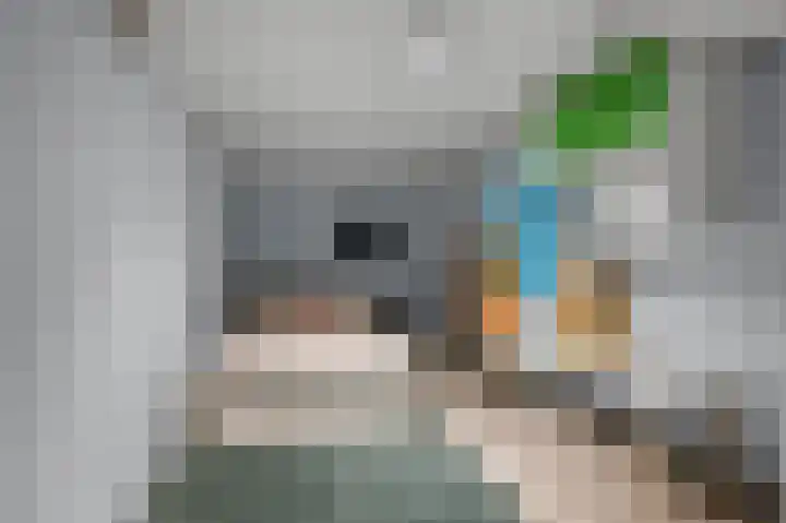 Iepenlaan 26 a De Kwakel thumbnail 16