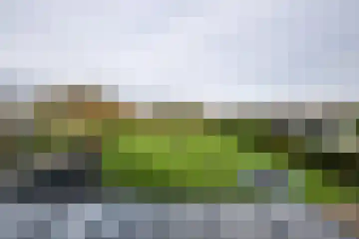 Iepenlaan 26 a De Kwakel thumbnail 18