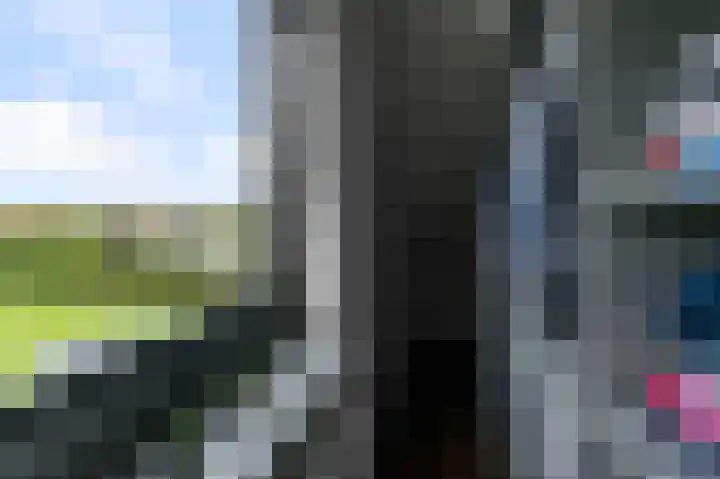 Iepenlaan 26 a De Kwakel thumbnail 19