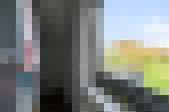 Iepenlaan 26 a De Kwakel thumbnail 20