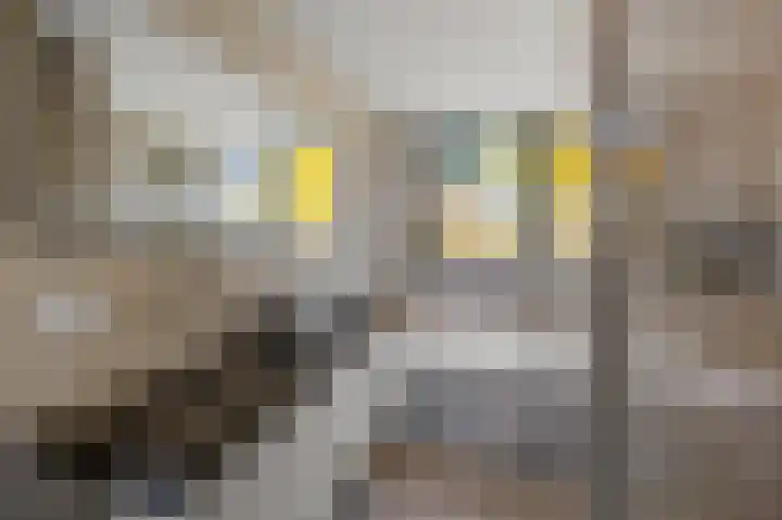 Iepenlaan 26 a De Kwakel thumbnail 21
