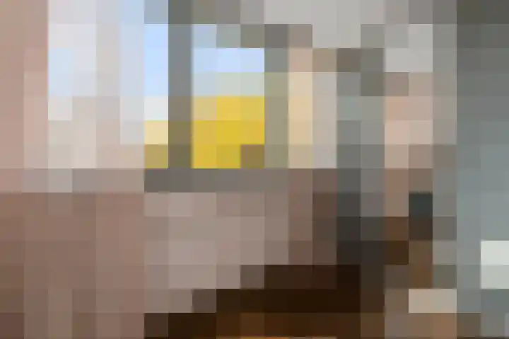 Iepenlaan 26 a De Kwakel thumbnail 25