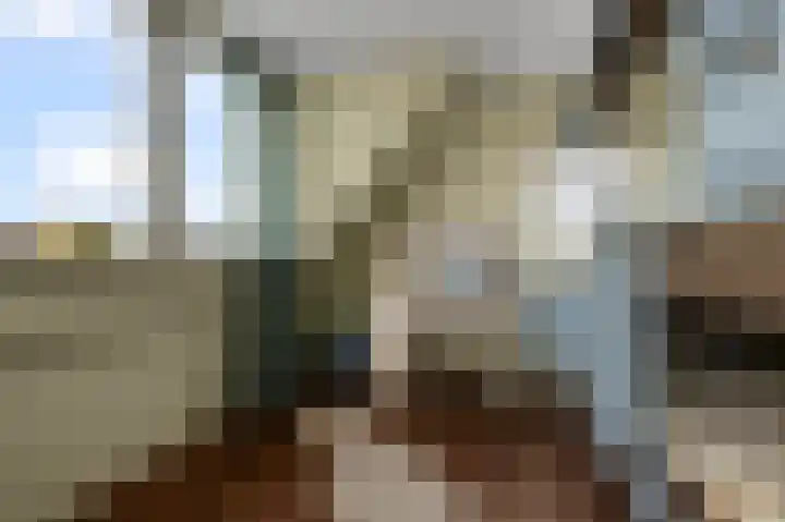 Iepenlaan 26 a De Kwakel thumbnail 27
