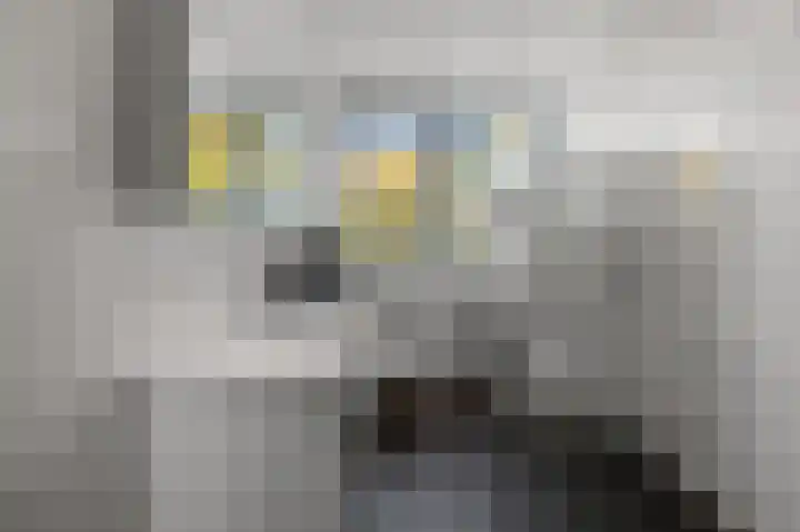 Iepenlaan 26 a De Kwakel thumbnail 30
