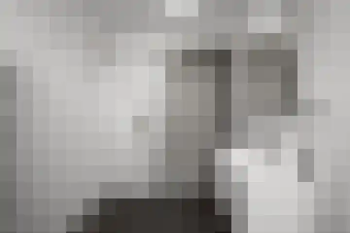 Iepenlaan 26 a De Kwakel thumbnail 31