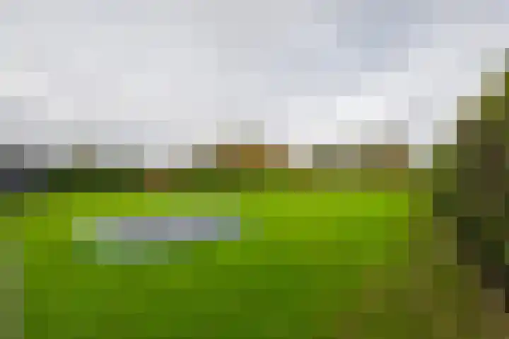 Iepenlaan 26 a De Kwakel thumbnail 33