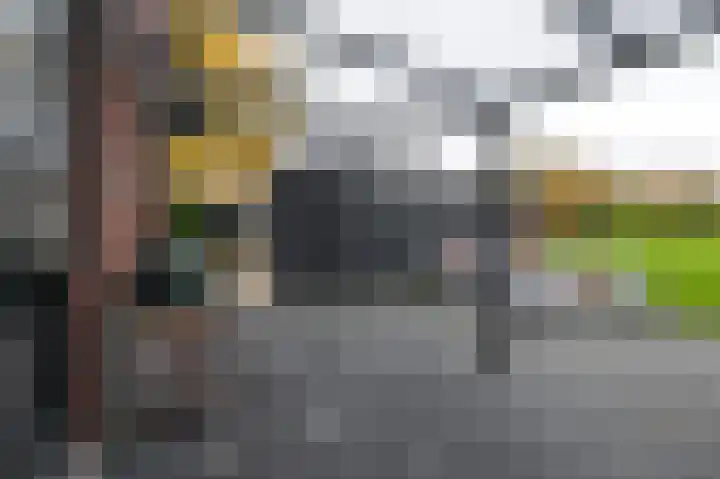 Iepenlaan 26 a De Kwakel thumbnail 34