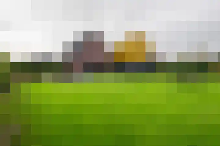 Iepenlaan 26 a De Kwakel thumbnail 35