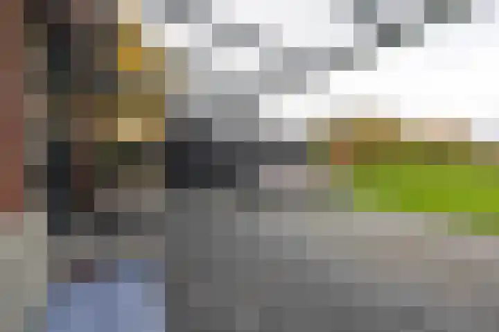 Iepenlaan 26 a De Kwakel thumbnail 37