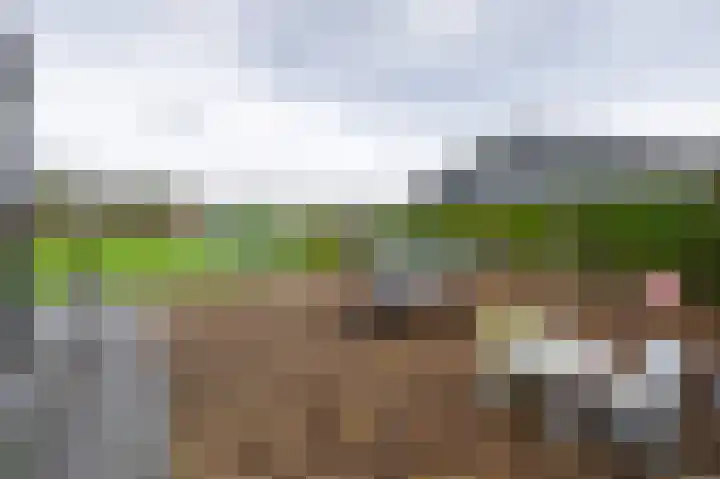 Iepenlaan 26 a De Kwakel thumbnail 38