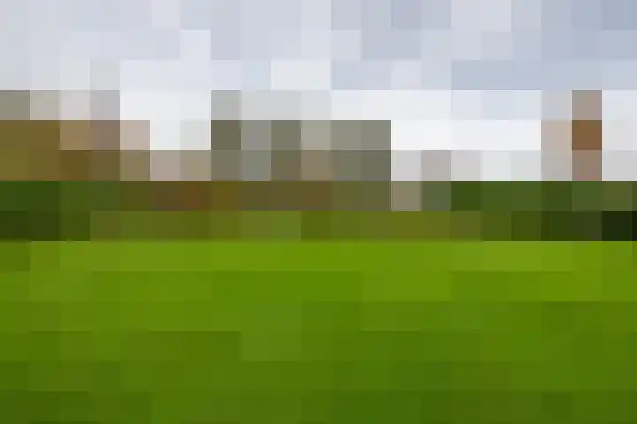 Iepenlaan 26 a De Kwakel thumbnail 39