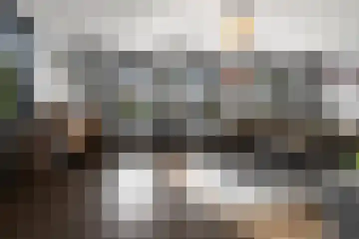Iepenlaan 26 a De Kwakel thumbnail 4