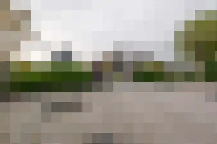 Iepenlaan 26 a De Kwakel thumbnail 40