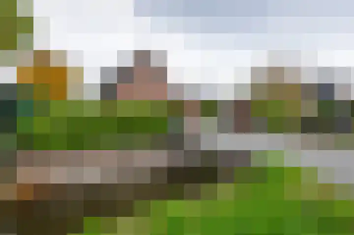 Iepenlaan 26 a De Kwakel thumbnail 43