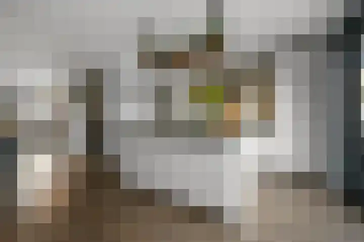 Iepenlaan 26 a De Kwakel thumbnail 8