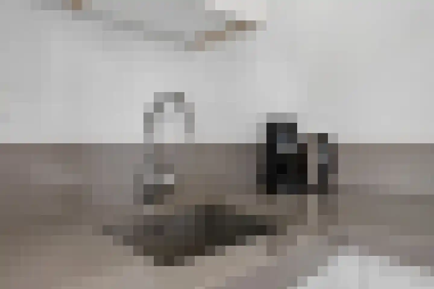 Iepenlaan 26 Made thumbnail 17