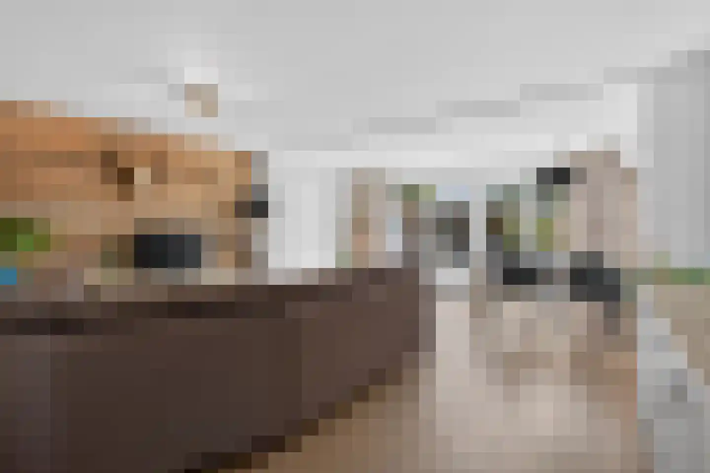 Iepenlaan 26 Made thumbnail 22