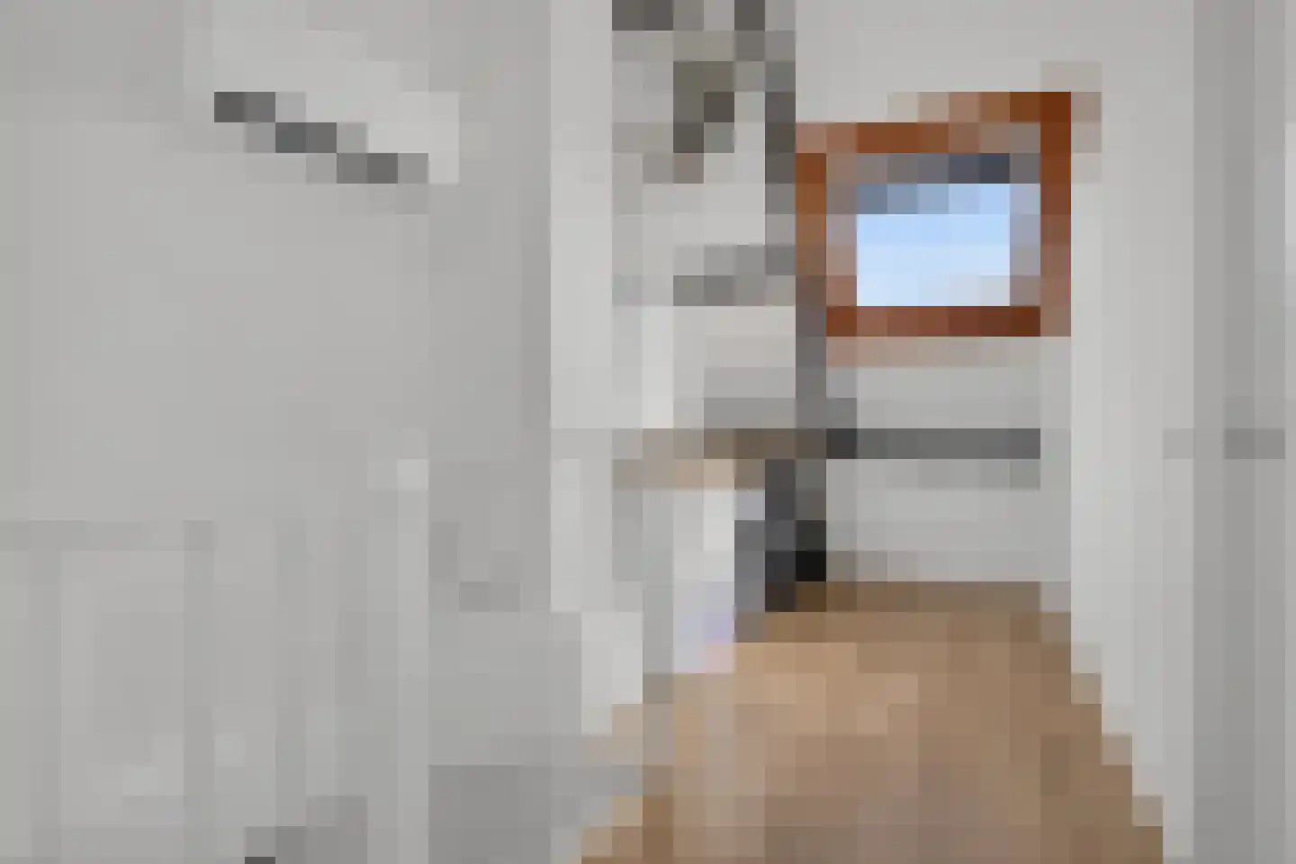 Iepenlaan 26 Made thumbnail 54