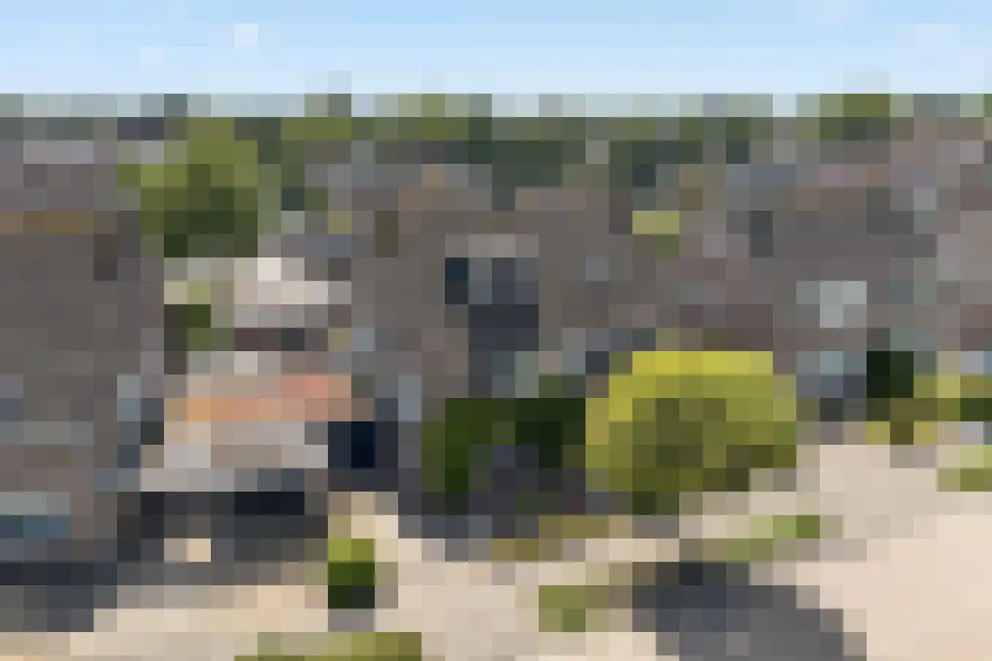 Iepenlaan 26 Made thumbnail 60
