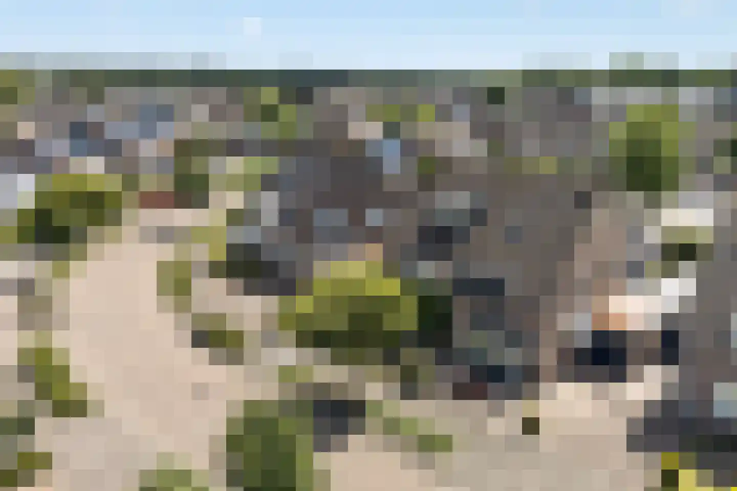 Iepenlaan 26 Made thumbnail 62
