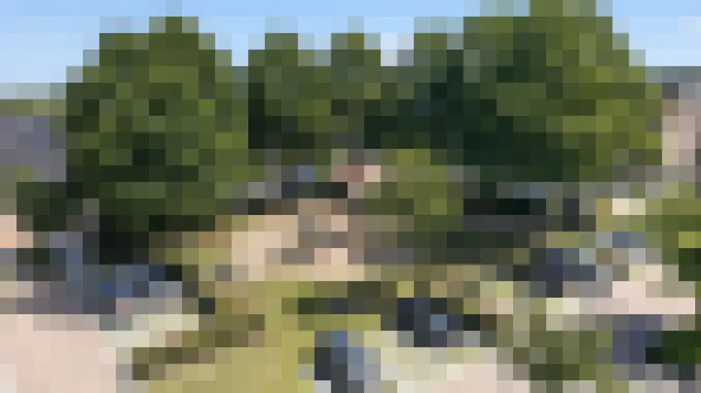 Iepenlaan 26 Made thumbnail 63