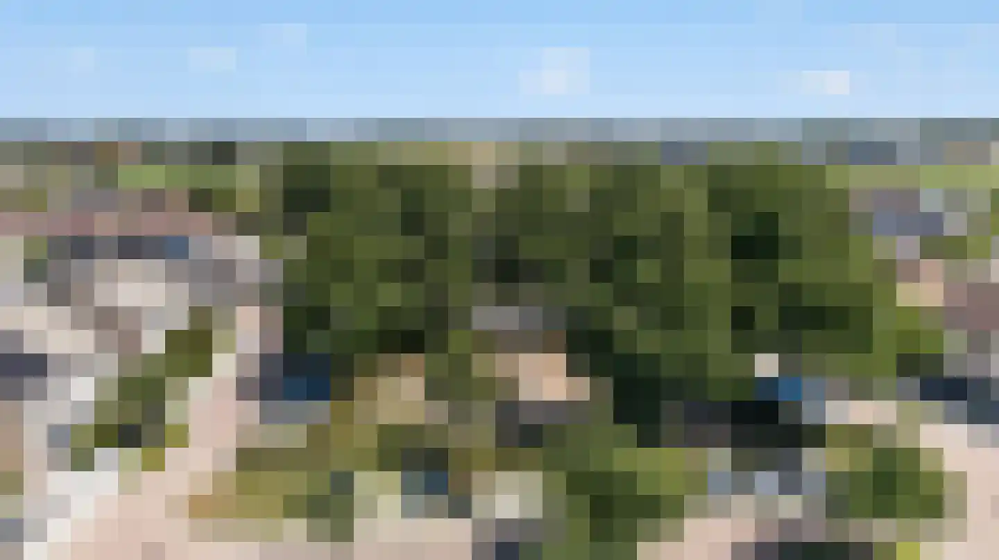 Iepenlaan 26 Made thumbnail 64