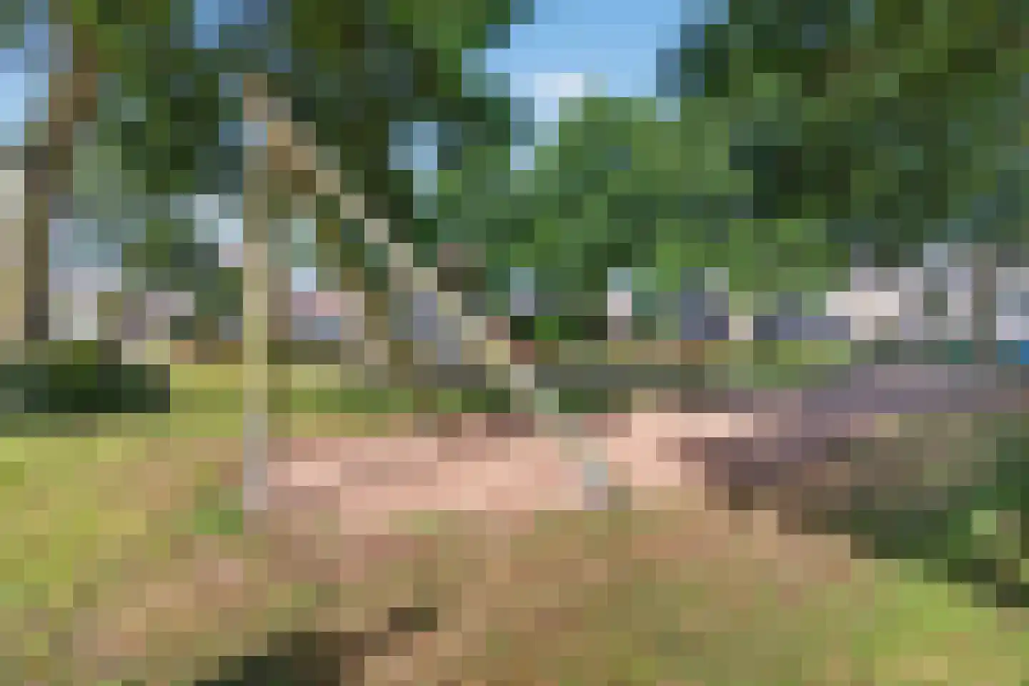 Iepenlaan 26 Made thumbnail 66
