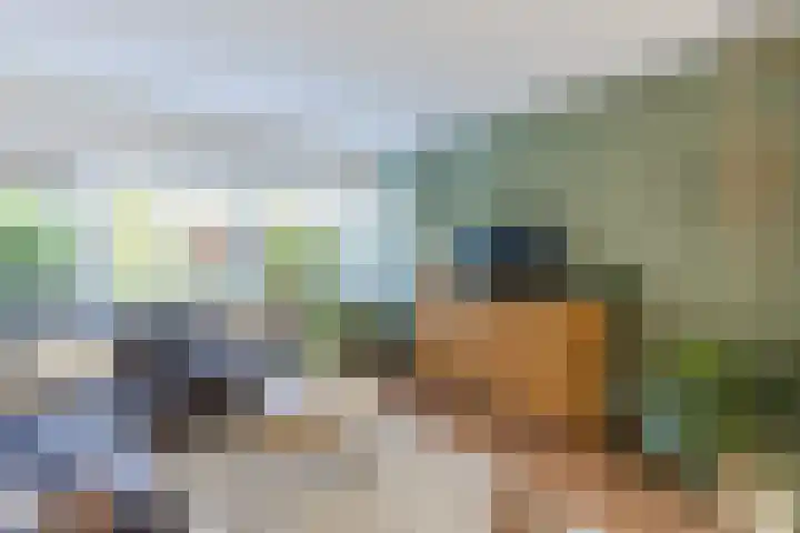Iepenlaan 26 Schagen thumbnail 15