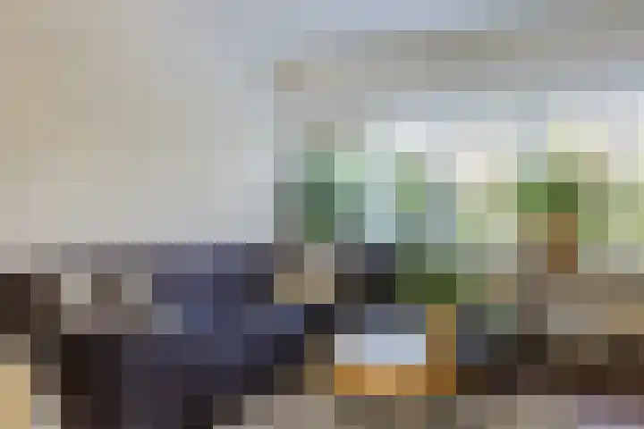 Iepenlaan 26 Schagen thumbnail 18