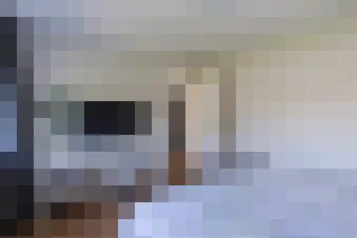 Iepenlaan 26 Schagen thumbnail 31