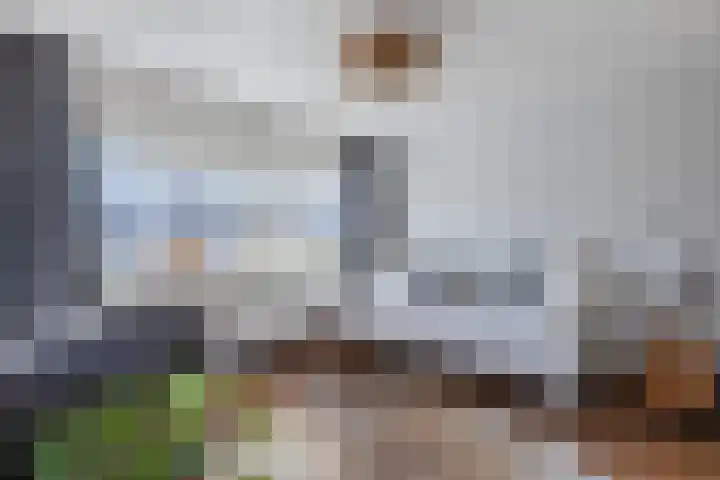 Iepenlaan 26 Schagen thumbnail 33