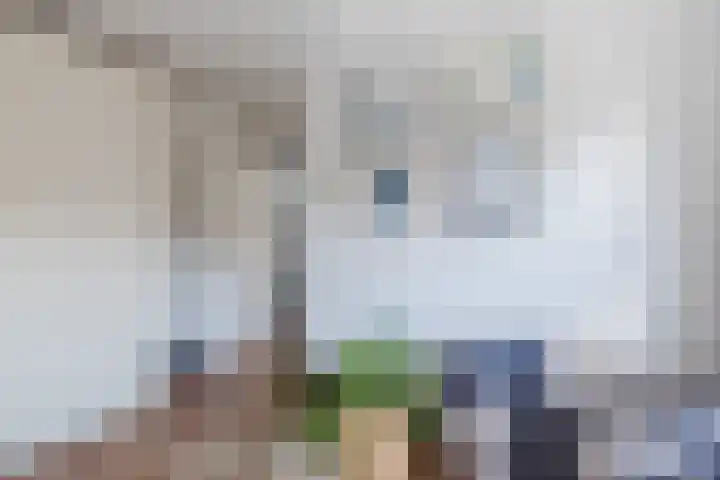 Iepenlaan 26 Schagen thumbnail 34