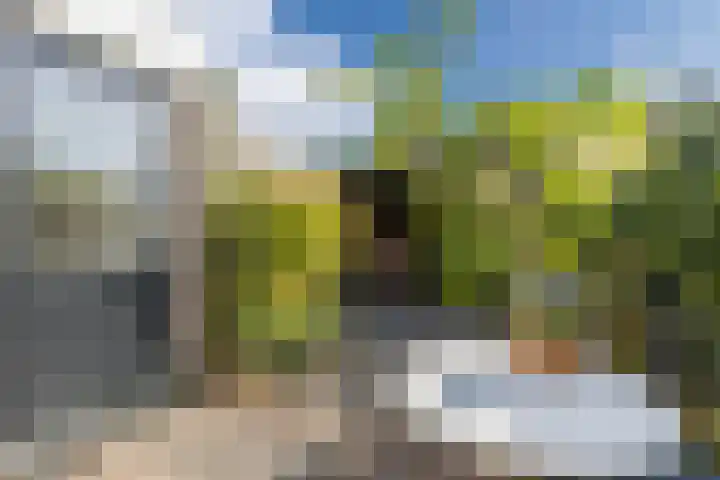 Iepenlaan 26 Schagen thumbnail 44