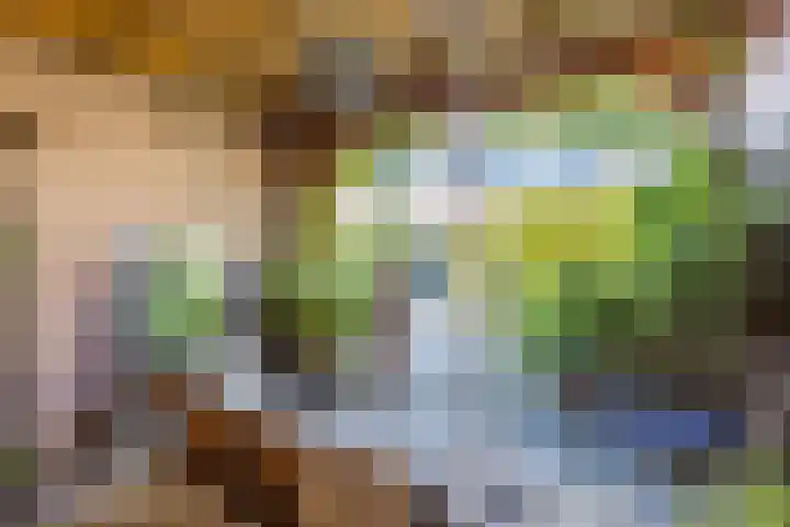 Iepenlaan 26 Schagen thumbnail 46
