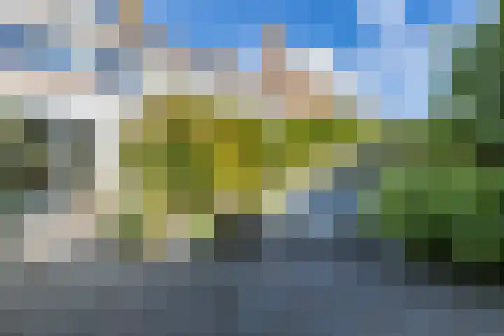 Iepenlaan 26 Schagen thumbnail 49