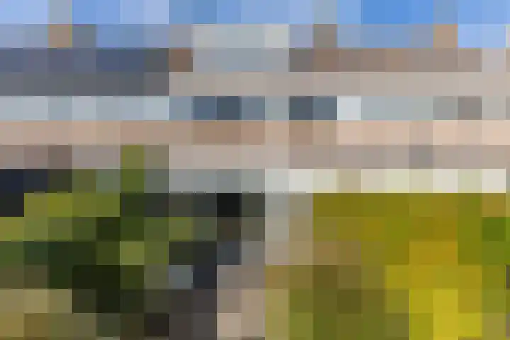 Iepenlaan 26 Schagen thumbnail 51