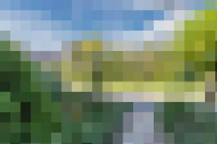 Iepenlaan 26 Schagen thumbnail 53