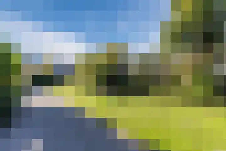 Iepenlaan 26 Schagen thumbnail 54