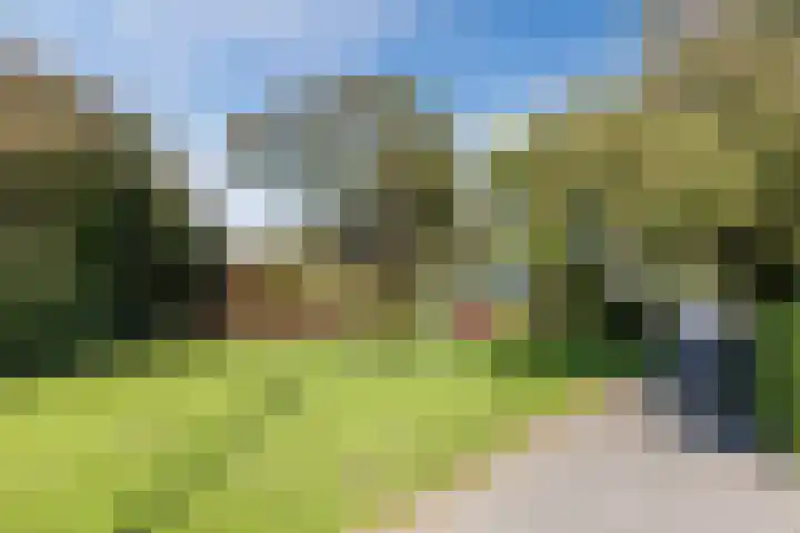 Iepenlaan 26 Schagen thumbnail 55