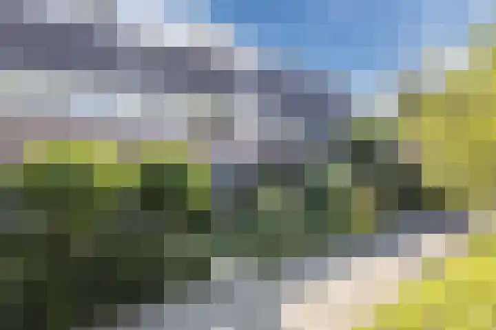 Iepenlaan 26 Schagen thumbnail 6