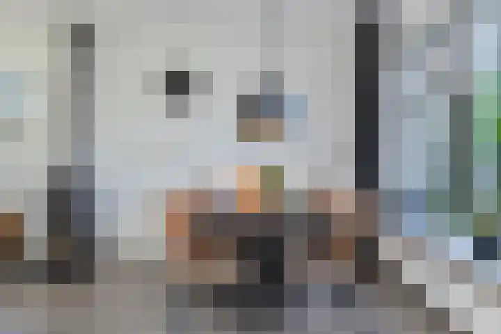 Iepenlaan 26 Wieringerwaard thumbnail 10
