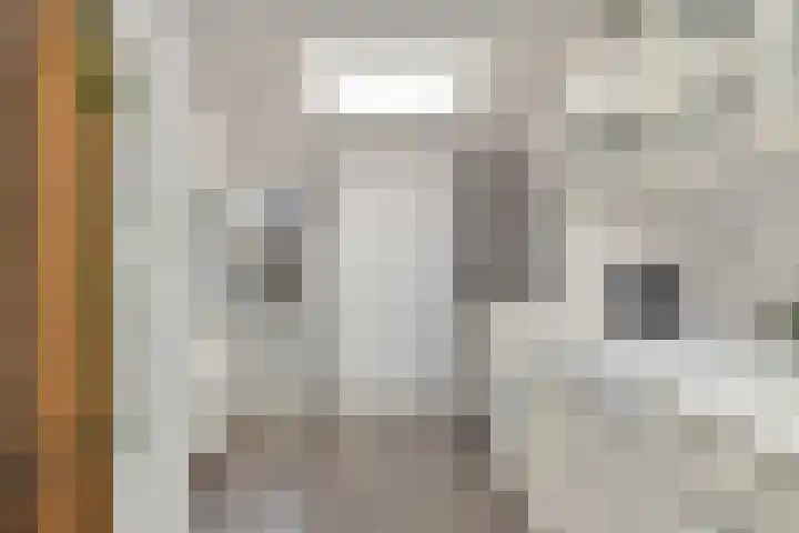 Iepenlaan 26 Wieringerwaard thumbnail 14